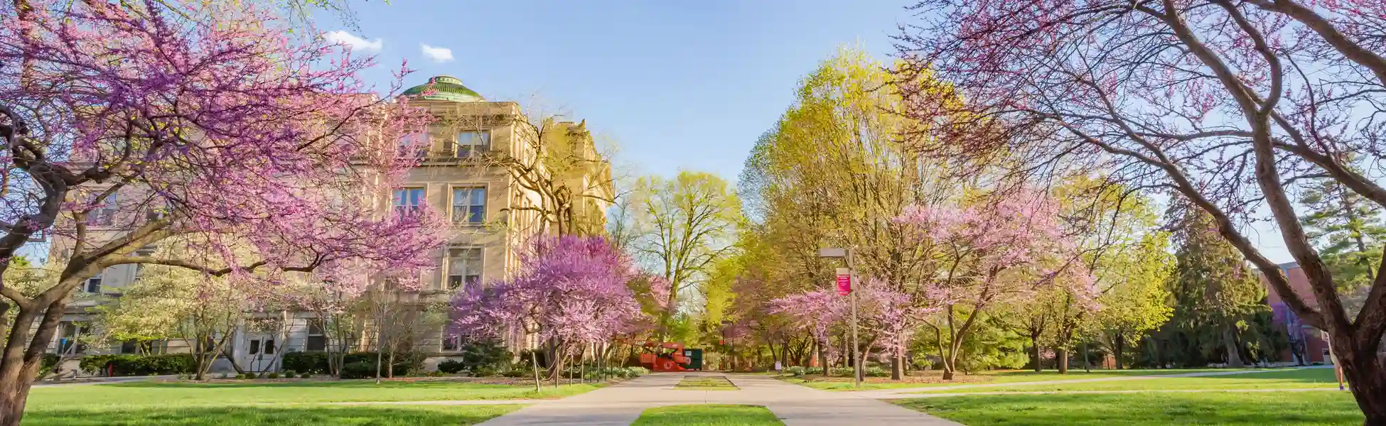 Neon color image of a band playing and people singing along